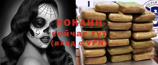 прущие грибы Баксан