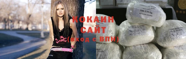 прущие грибы Баксан