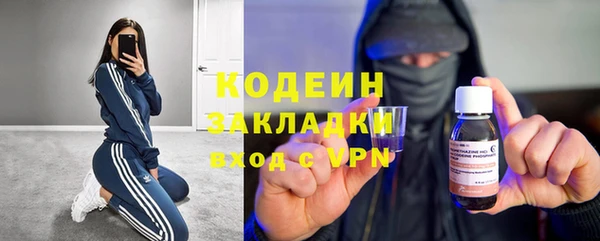 прущие грибы Баксан