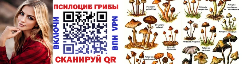Галлюциногенные грибы Psilocybe  сколько стоит  Верхняя Пышма 